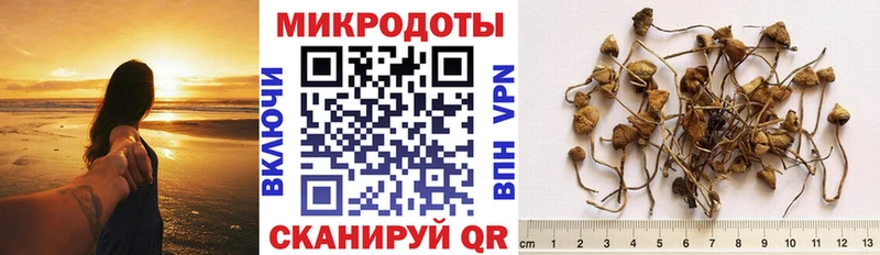 дарнет шоп  Каменск-Шахтинский  Галлюциногенные грибы мицелий 